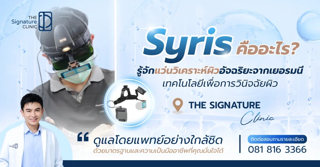 Syris Visualization System 1