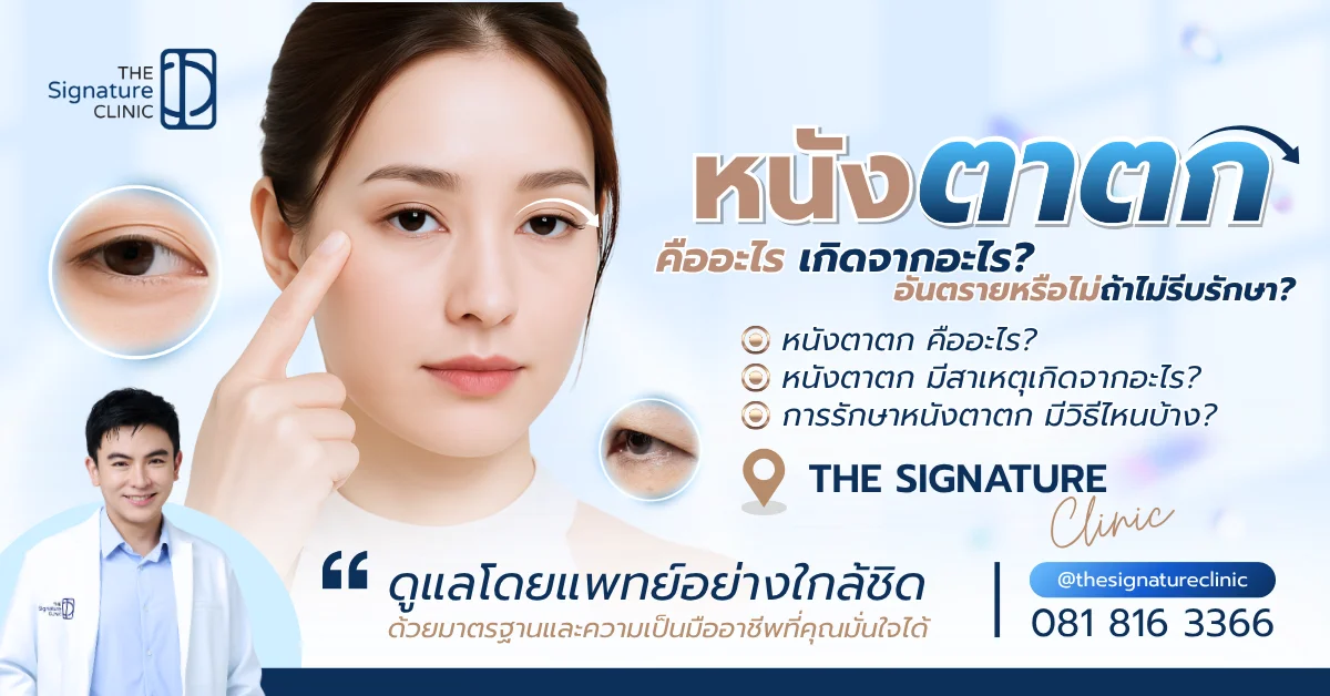 หนังตาตก