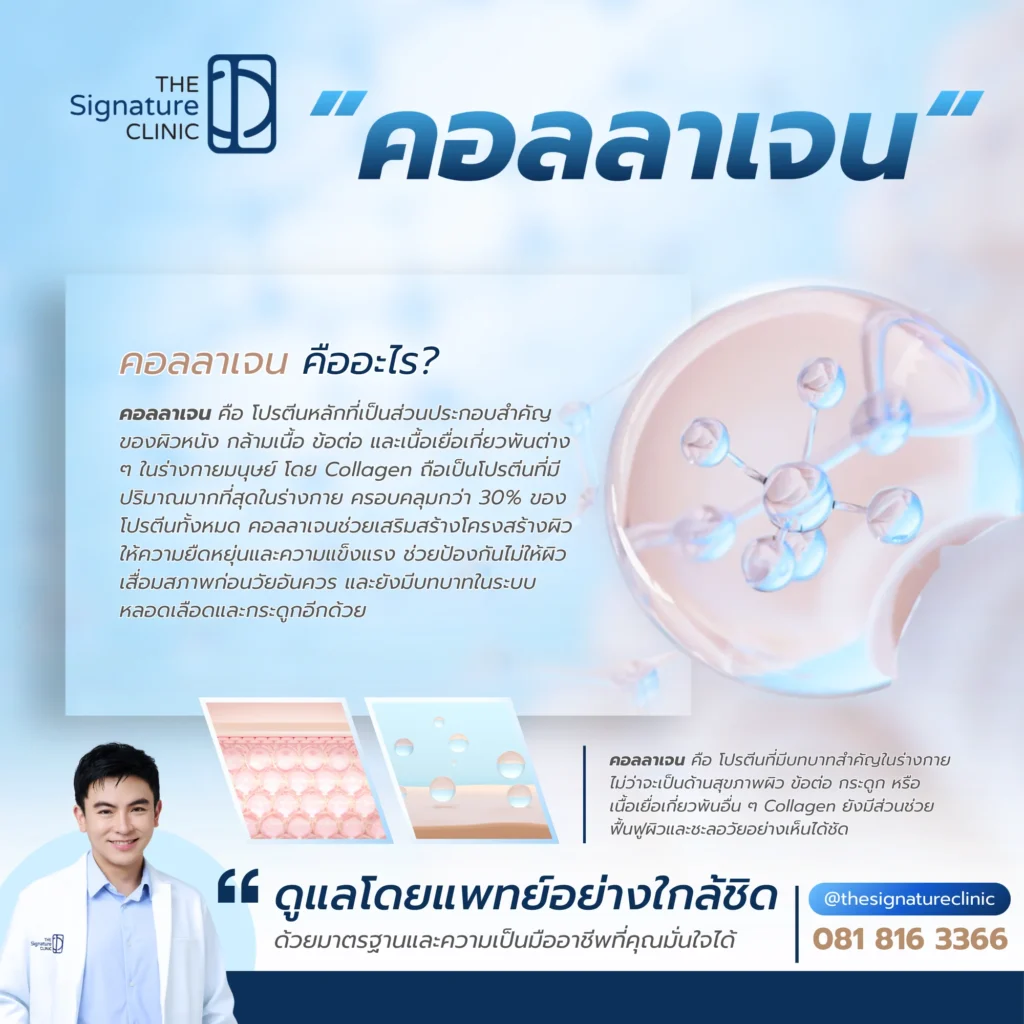 คอลลาเจน คือ